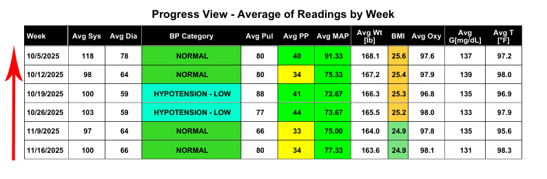 Example of a Progress View table in BPTrakr Reports with records sorted in ascending order by date.